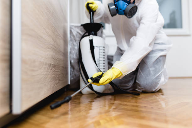 Best Local Pest Control Services  in Red Bud, IL