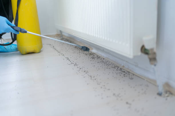 Best Cockroach Control Services  in Red Bud, IL